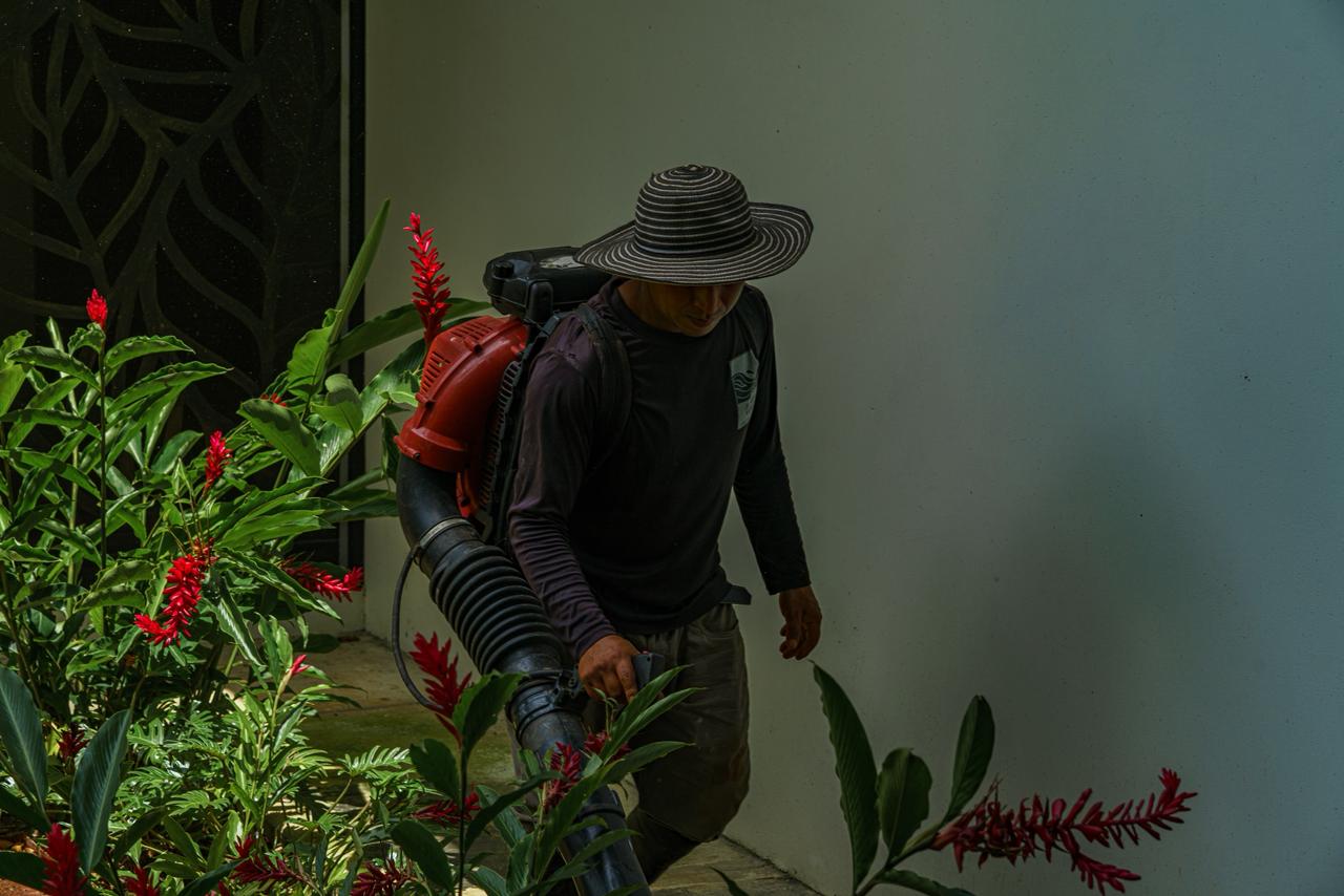 Cuidado de flores tropicales