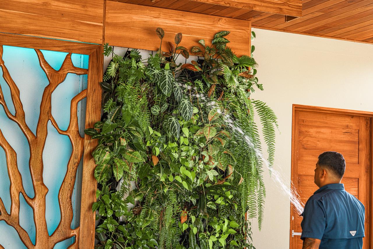 Instalación de muro verde tropical