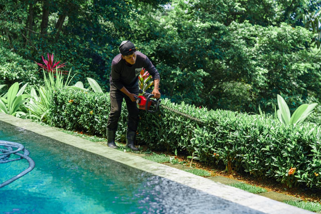 Mantenimiento de setos junto a piscina