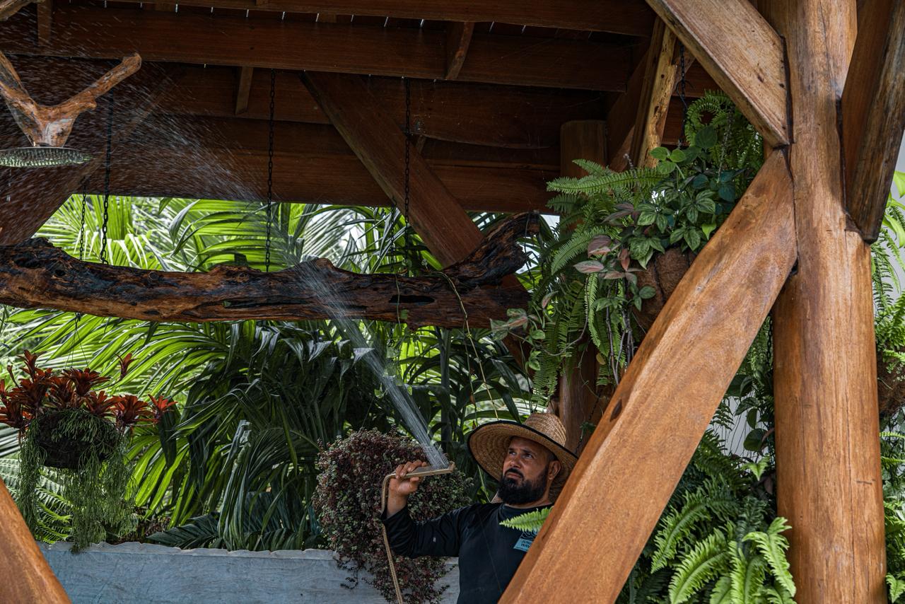 Riego profesional de plantas en pérgola